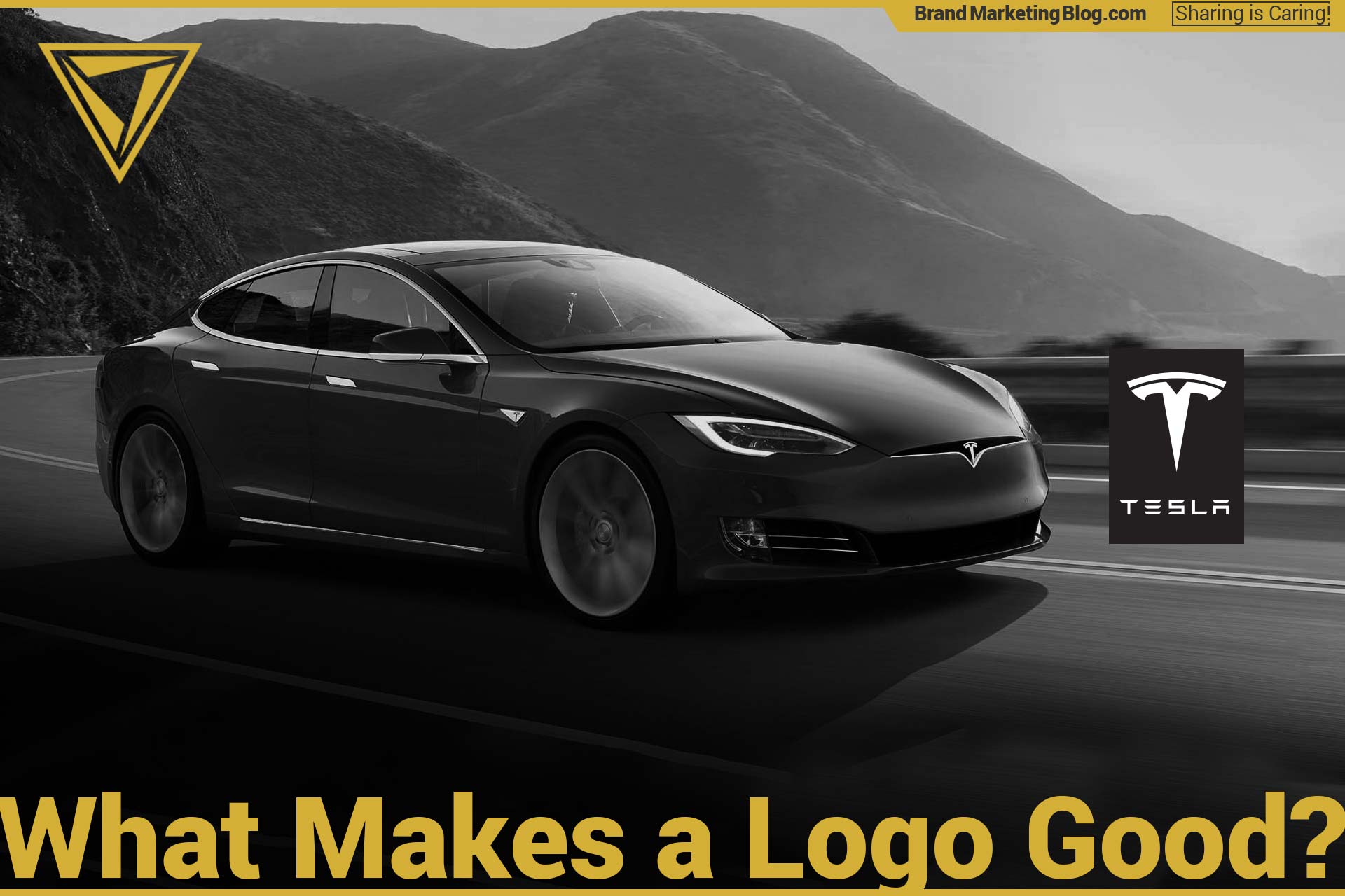 What makes a good logo? Tesla Model S and Tesla logo