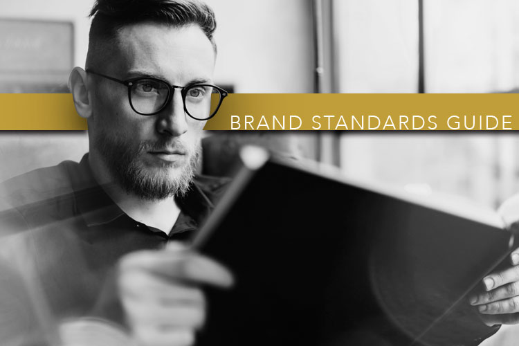 Man looking at brand book. Brand Standard Guide.