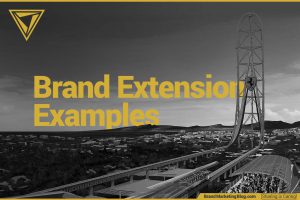 Brand Extension Examples