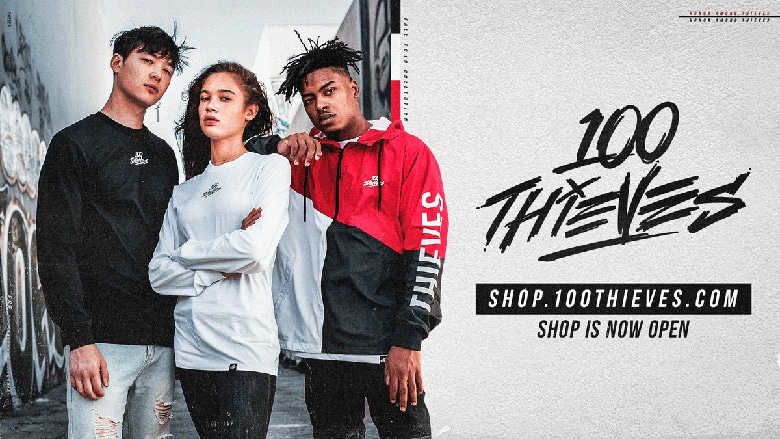 shop 100 thieves